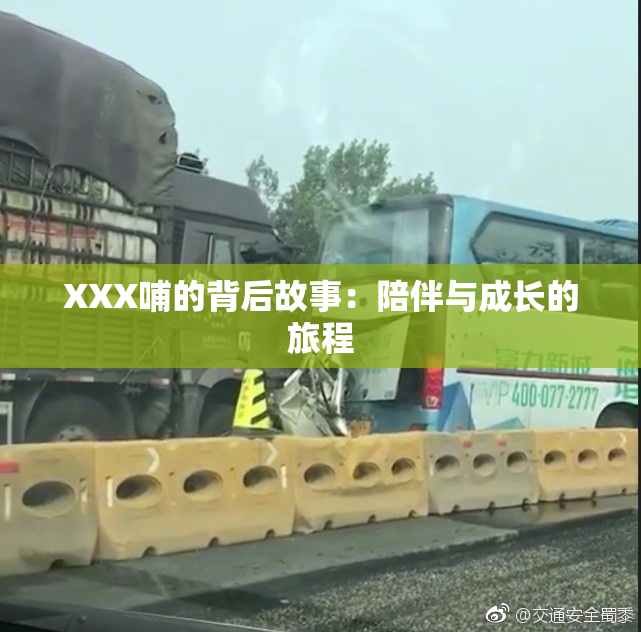 XXX哺的背后故事：陪伴与成长的旅程