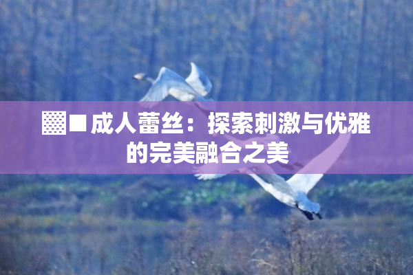 ▓■成人蕾丝：探索刺激与优雅的完美融合之美