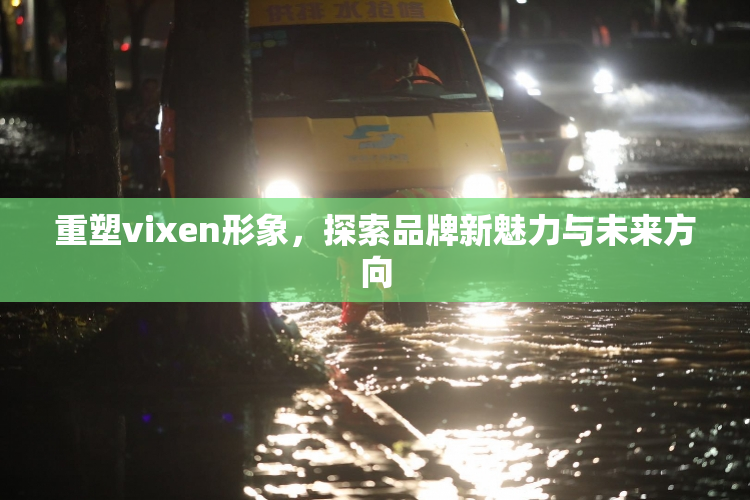 重塑vixen形象，探索品牌新魅力与未来方向