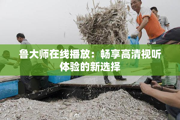 鲁大师在线播放：畅享高清视听体验的新选择