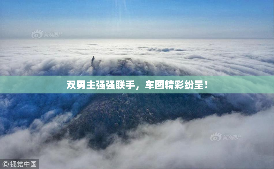 双男主强强联手，车图精彩纷呈！