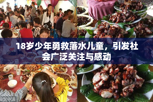 18岁少年勇救落水儿童，引发社会广泛关注与感动