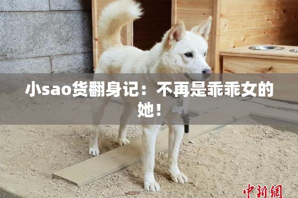 小sao货翻身记：不再是乖乖女的她！