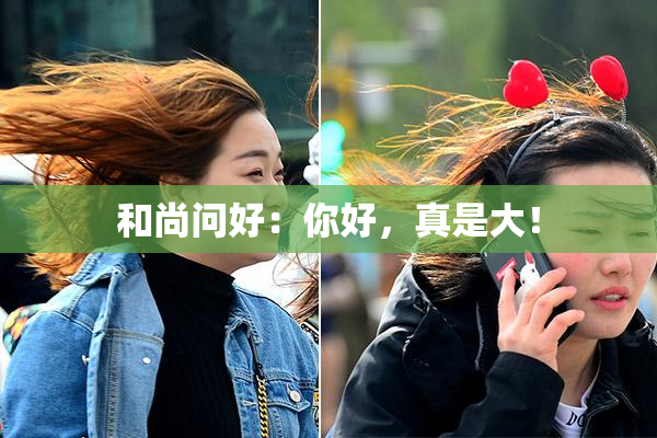 和尚问好：你好，真是大！