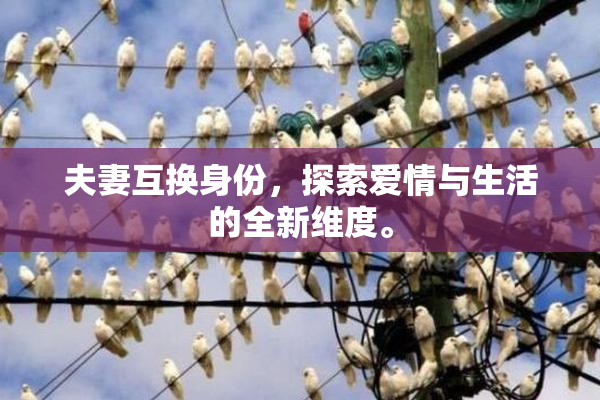 夫妻互换身份，探索爱情与生活的全新维度。