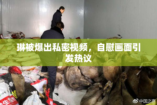 琳被爆出私密视频，自慰画面引发热议