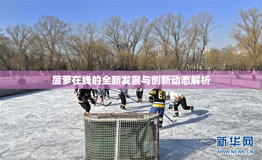 菠萝在线的全新发展与创新动态解析