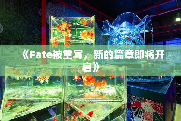 《Fate被重写，新的篇章即将开启》