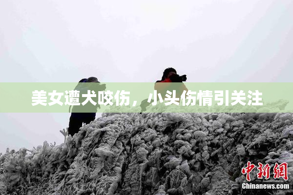 美女遭犬咬伤，小头伤情引关注