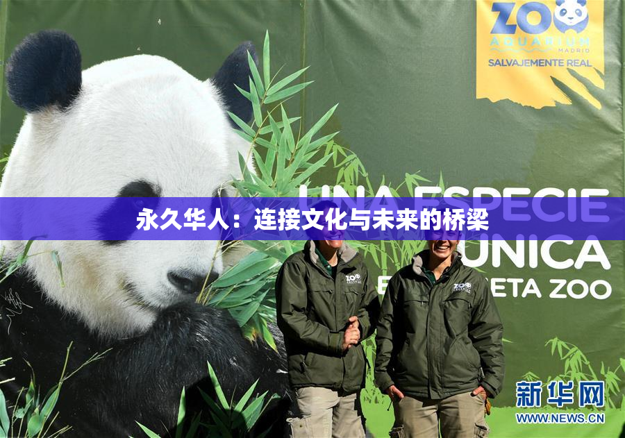 永久华人：连接文化与未来的桥梁