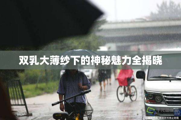 双乳大薄纱下的神秘魅力全揭晓