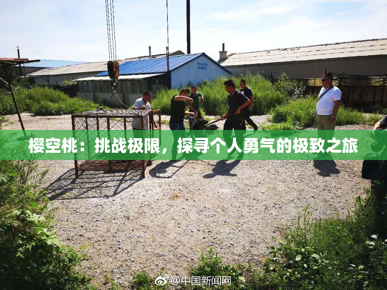 樱空桃：挑战极限，探寻个人勇气的极致之旅