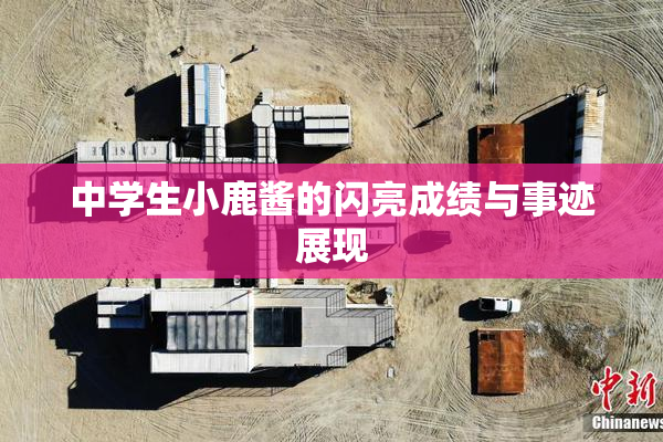中学生小鹿酱的闪亮成绩与事迹展现