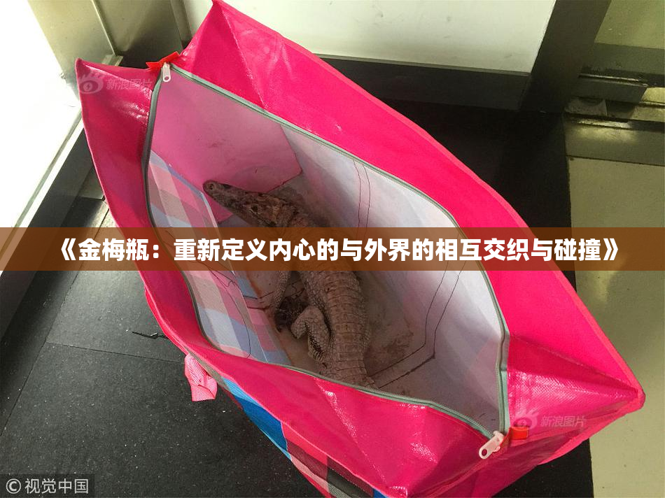 《金梅瓶：重新定义内心的与外界的相互交织与碰撞》