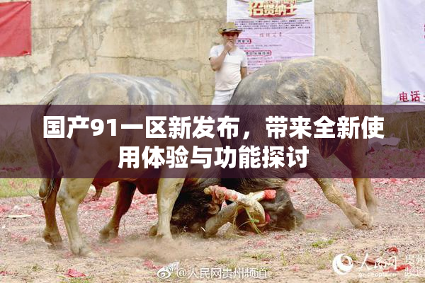 国产91一区新发布，带来全新使用体验与功能探讨