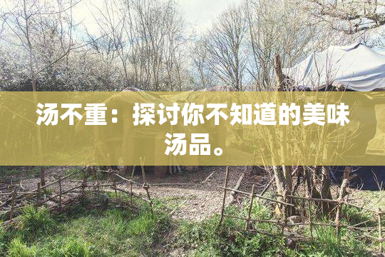 汤不重：探讨你不知道的美味汤品。