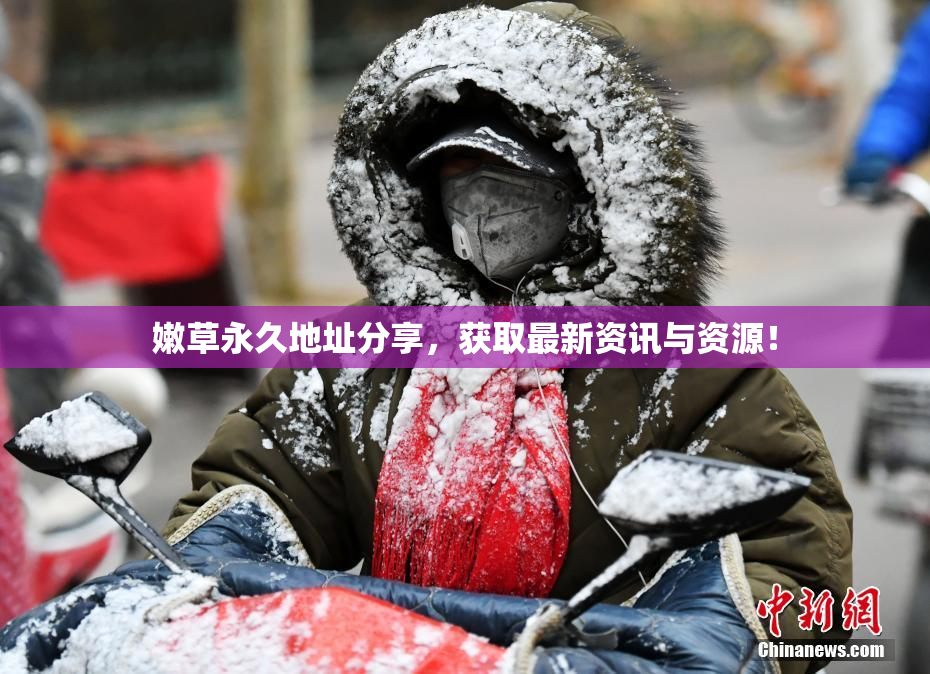 嫩草永久地址分享，获取最新资讯与资源！