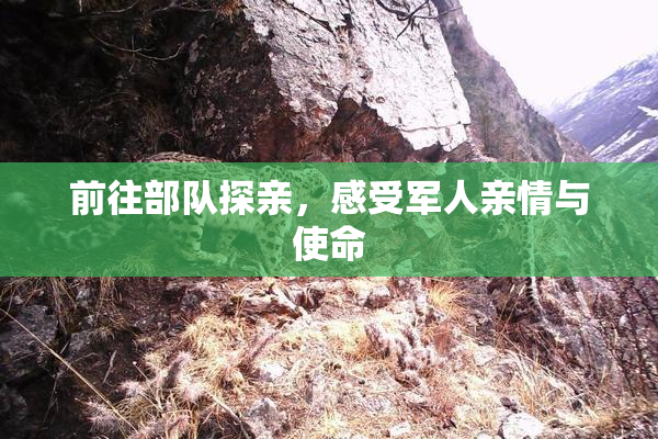 前往部队探亲，感受军人亲情与使命