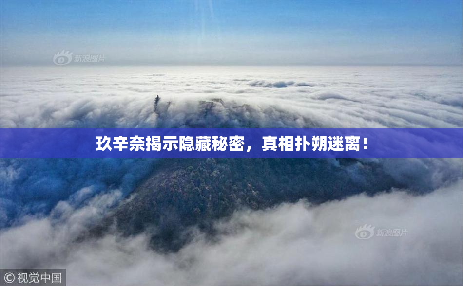 玖辛奈揭示隐藏秘密，真相扑朔迷离！