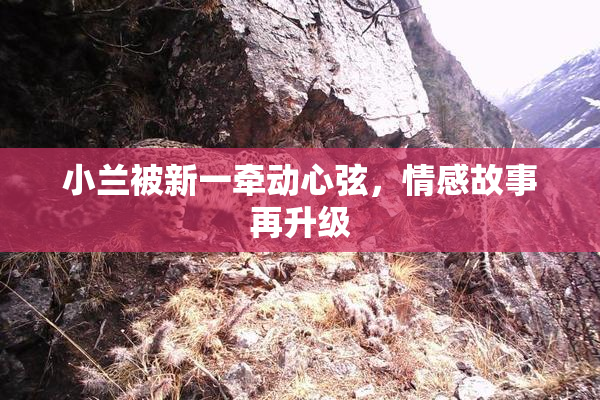 小兰被新一牵动心弦，情感故事再升级