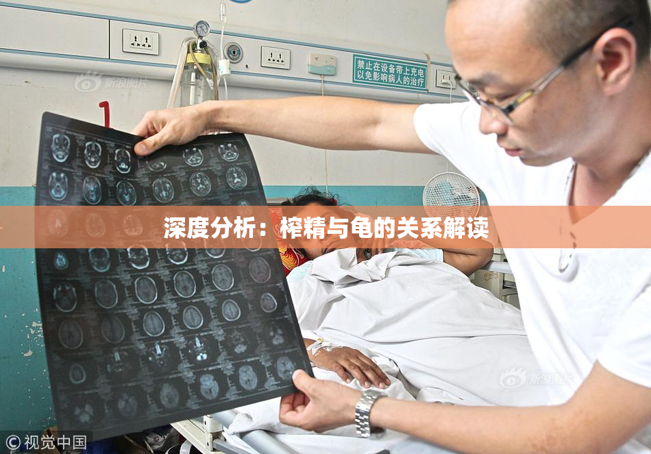 深度分析：榨精与龟的关系解读