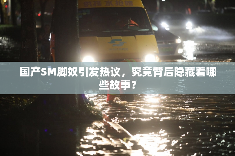 国产SM脚奴引发热议，究竟背后隐藏着哪些故事？