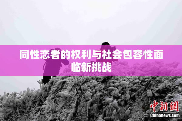 同性恋者的权利与社会包容性面临新挑战