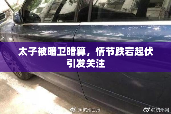 太子被暗卫暗算，情节跌宕起伏引发关注