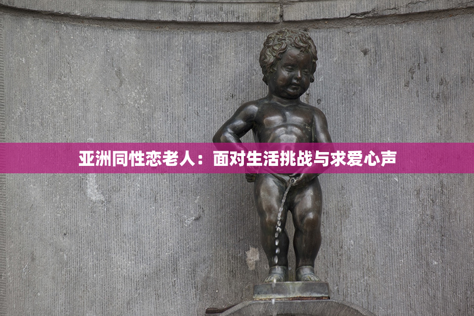 亚洲同性恋老人：面对生活挑战与求爱心声