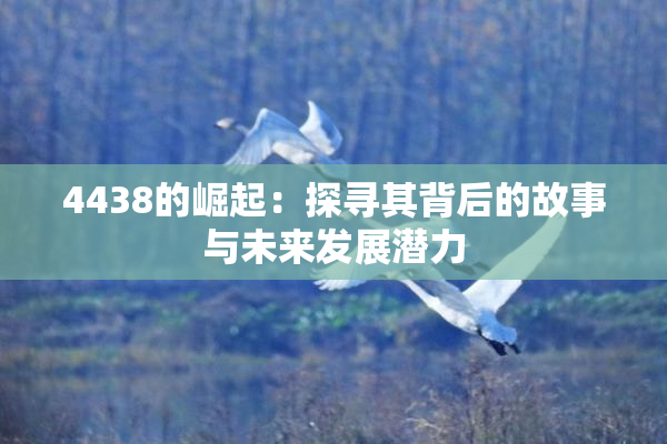 4438的崛起：探寻其背后的故事与未来发展潜力