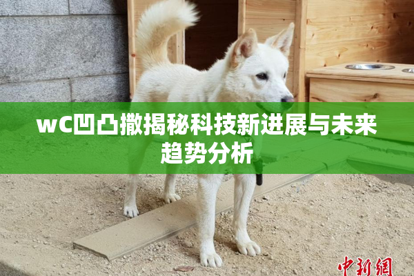 wC凹凸撒揭秘科技新进展与未来趋势分析