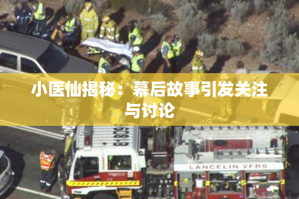 小医仙揭秘：幕后故事引发关注与讨论