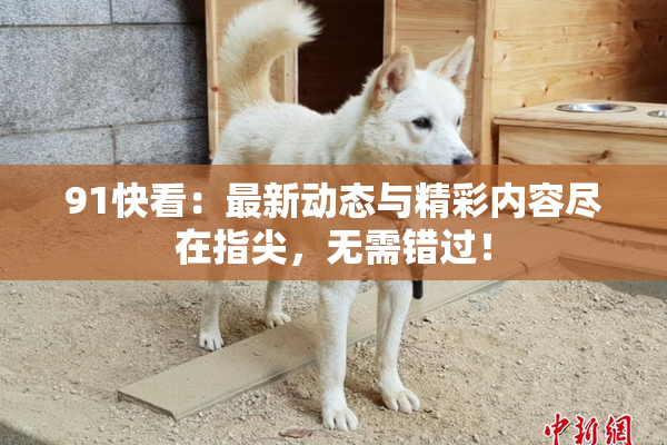 91快看：最新动态与精彩内容尽在指尖，无需错过！