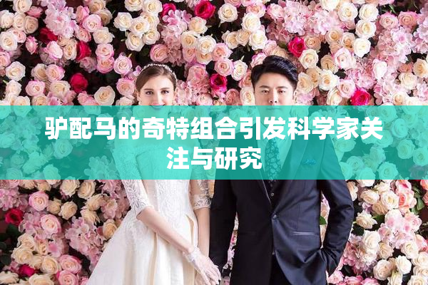 驴配马的奇特组合引发科学家关注与研究