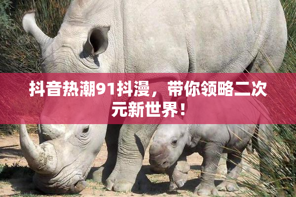 抖音热潮91抖漫，带你领略二次元新世界！