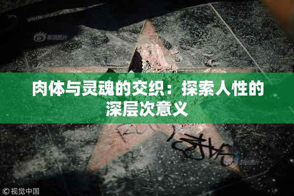 肉体与灵魂的交织：探索人性的深层次意义