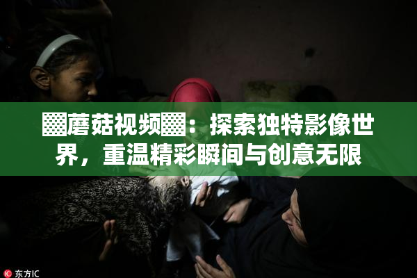 ▓蘑菇视频▓：探索独特影像世界，重温精彩瞬间与创意无限
