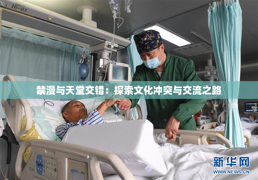禁漫与天堂交错：探索文化冲突与交流之路