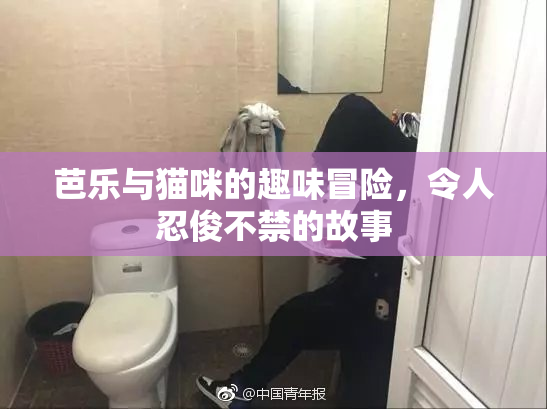 芭乐与猫咪的趣味冒险，令人忍俊不禁的故事