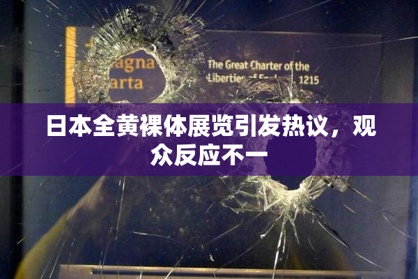 日本全黄裸体展览引发热议，观众反应不一