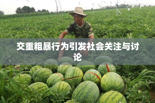 交重粗暴行为引发社会关注与讨论