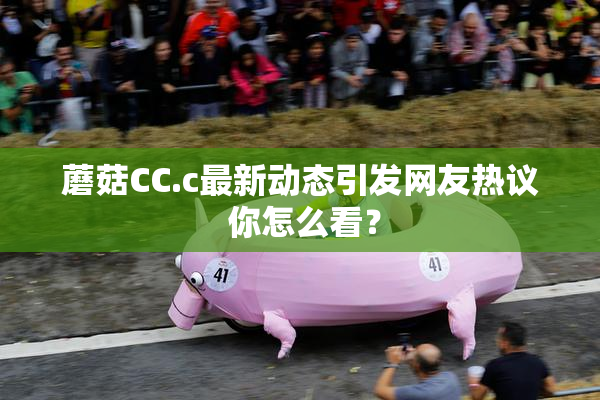 蘑菇CC.c最新动态引发网友热议 你怎么看？