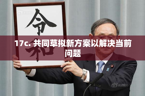 17c. 共同草拟新方案以解决当前问题