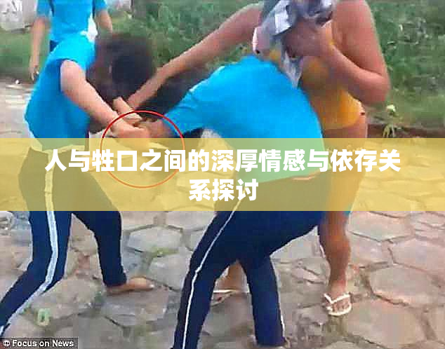 人与牲口之间的深厚情感与依存关系探讨