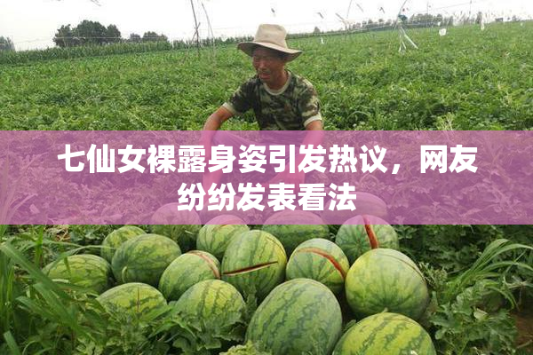 七仙女裸露身姿引发热议，网友纷纷发表看法