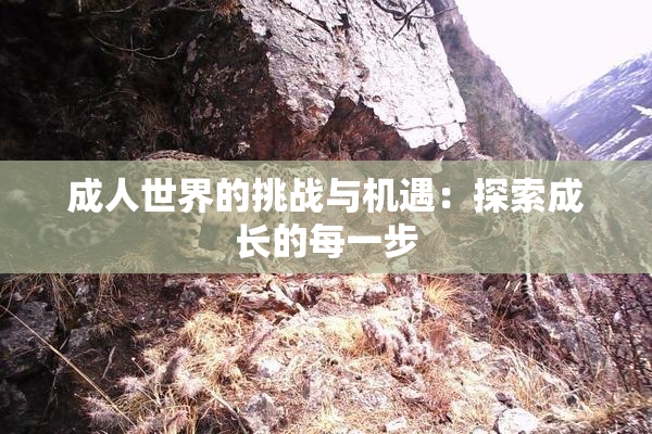 成人世界的挑战与机遇：探索成长的每一步