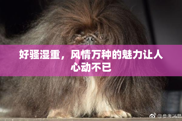 好骚湿重，风情万种的魅力让人心动不已