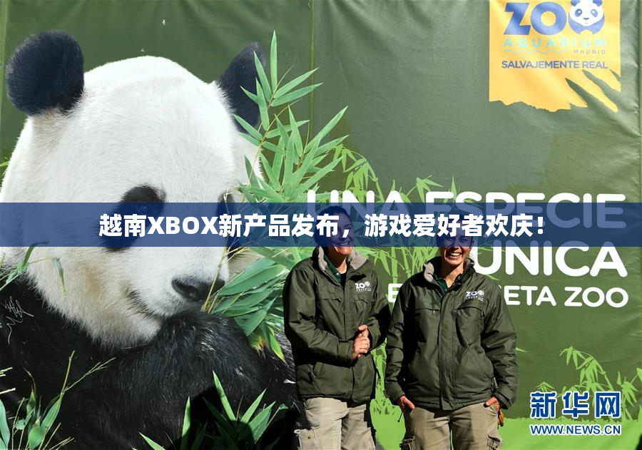 越南XBOX新产品发布，游戏爱好者欢庆！