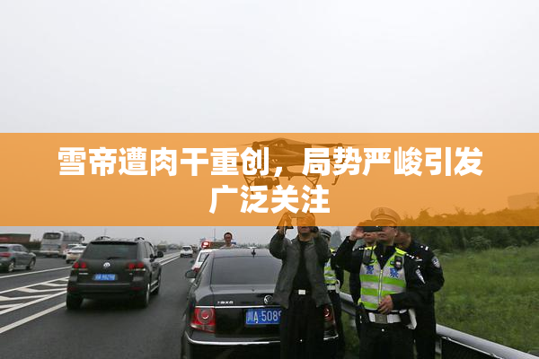 雪帝遭肉干重创，局势严峻引发广泛关注