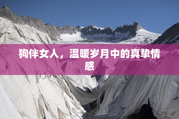 狗伴女人，温暖岁月中的真挚情感